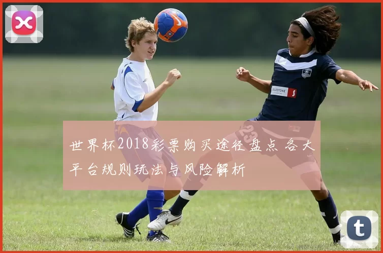 世界杯2018彩票购买途径盘点 各大平台规则玩法与风险解析