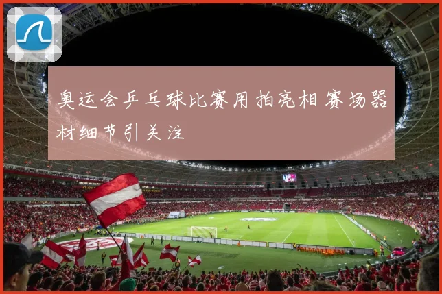 奥运会乒乓球比赛用拍亮相 赛场器材细节引关注