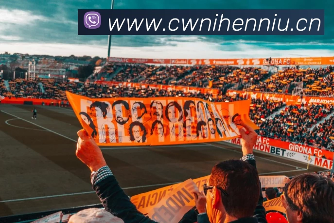 半岛在线 - 半岛在线(中国)发展历程